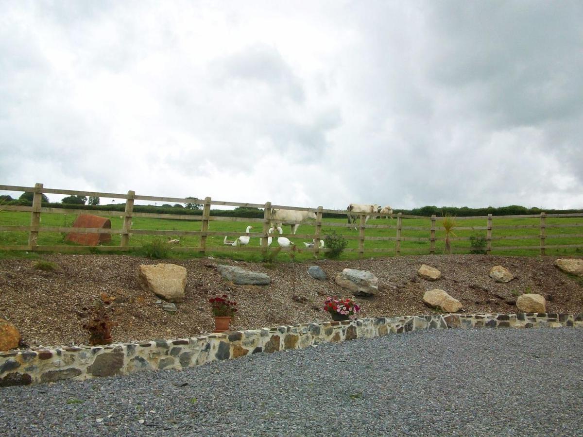 Bowbeer Barn Villa Drewsteignton Dış mekan fotoğraf